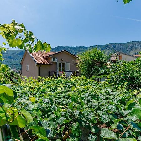 Spacious Central Magik Котор Экстерьер фото